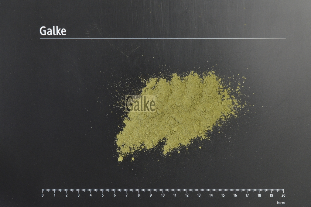Catnep herb organic powder