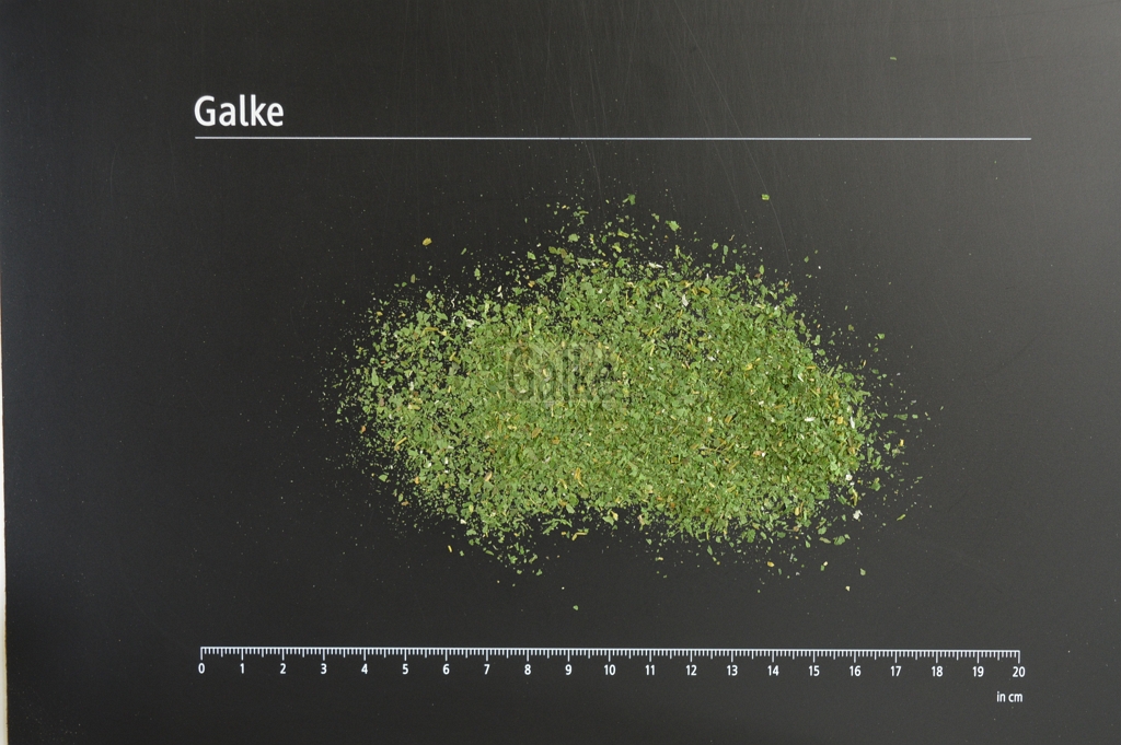 Bärlauchkraut Feinschnitt