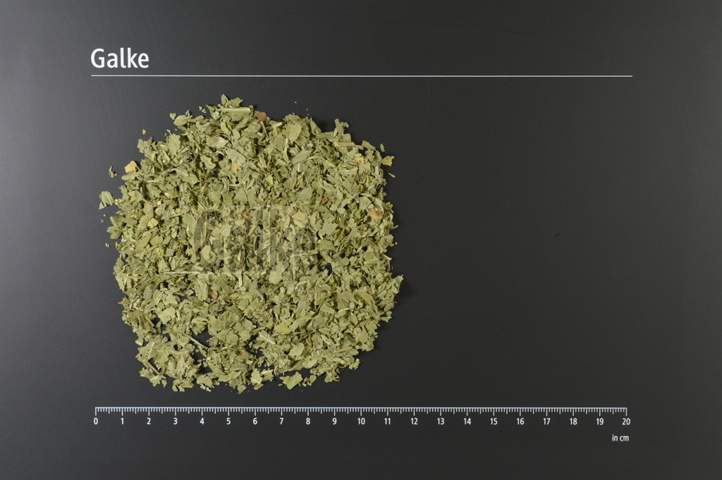 Balsamkraut BIO geschnitten