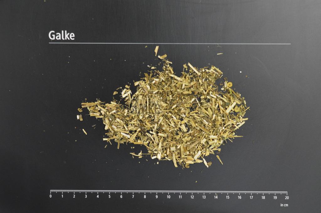 Feverfew organic cut