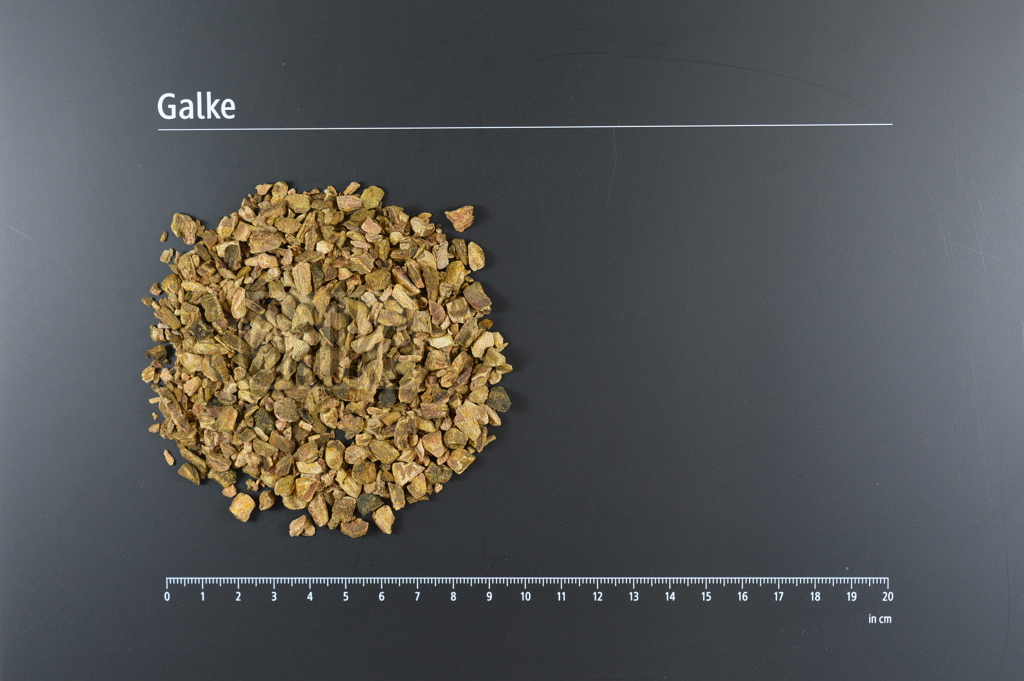 Rhabarberwurzel geschnitten