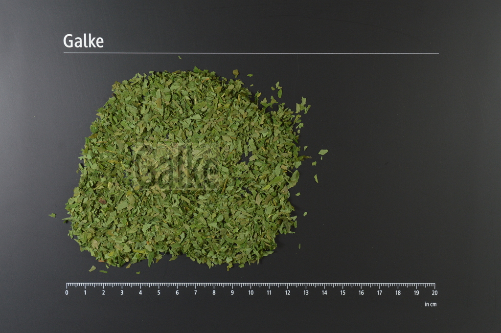 Bärlauchkraut BIO Feinschnitt