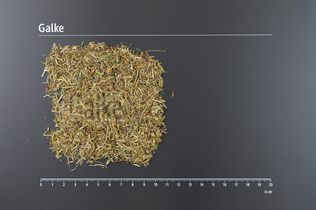 Augentrostkraut geschnitten