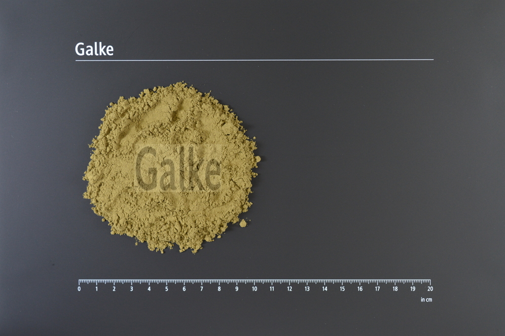 Bärlauchkraut gemahlen