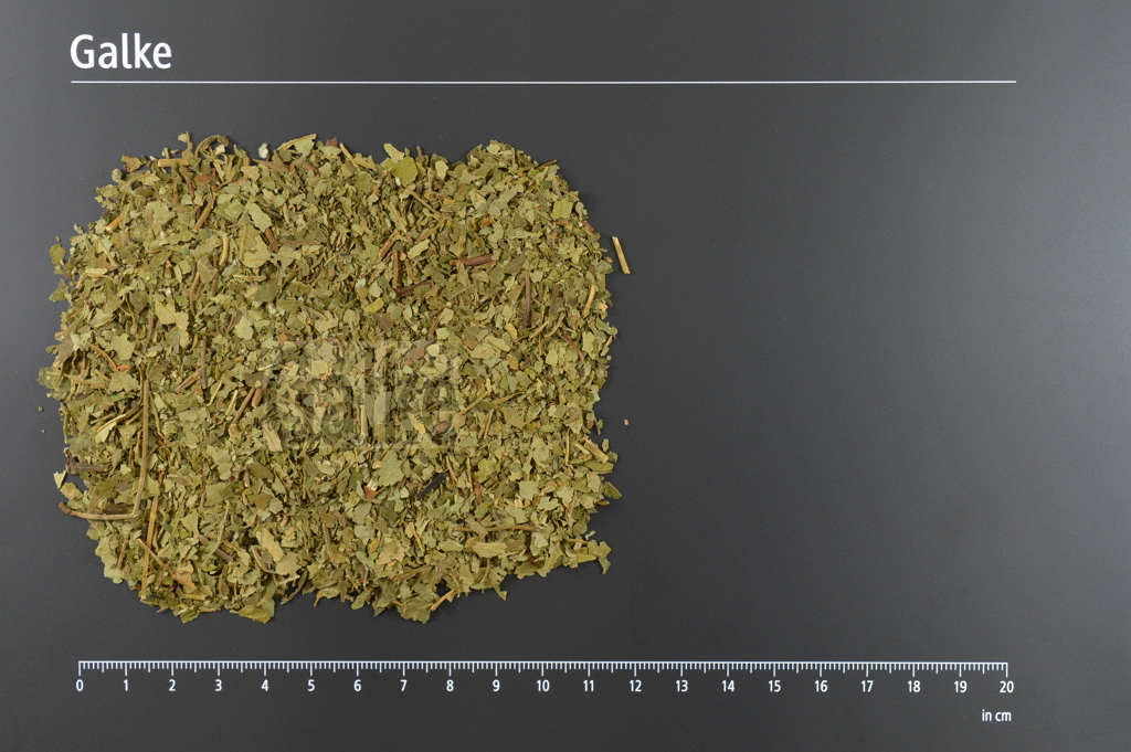 Brombeerblätter süß geschnitten