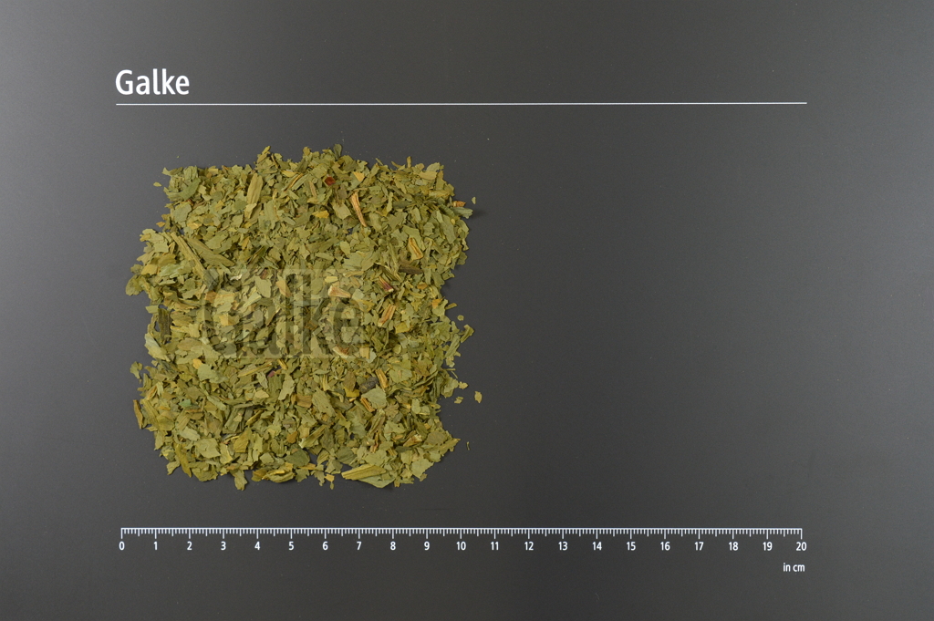 Bärlauchkraut geschnitten