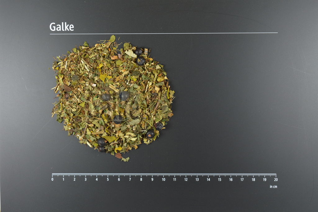 Haustee Frühjahr / Herbst