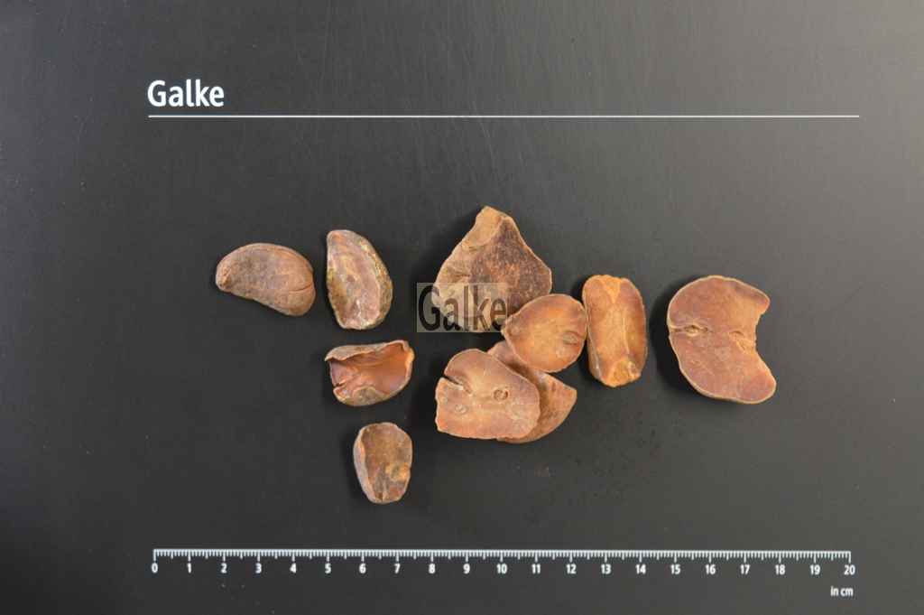 Cola nuts organic whole