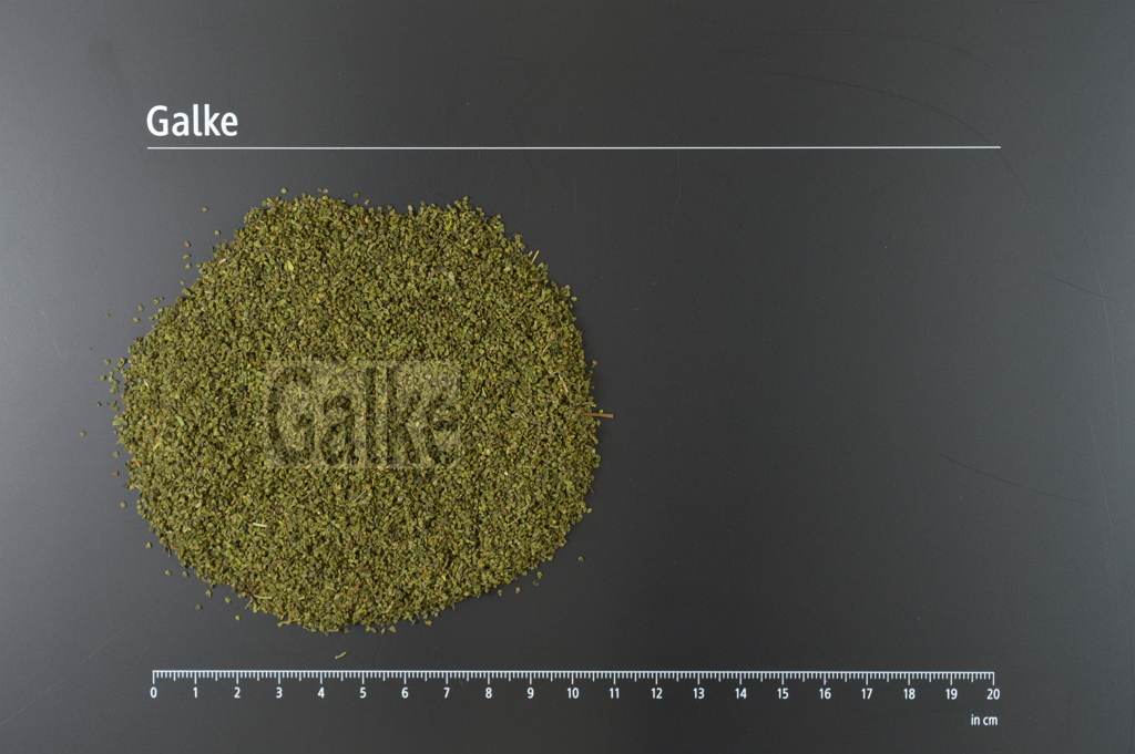 Brennnesselsamen ganz