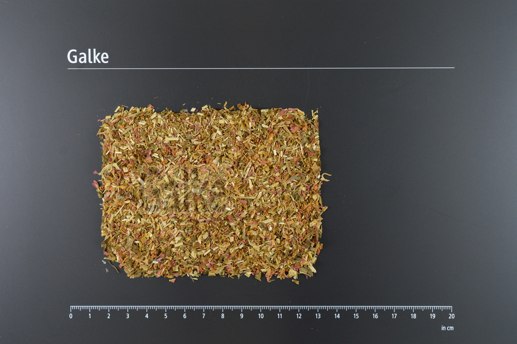 Centaury biflowered tops cut