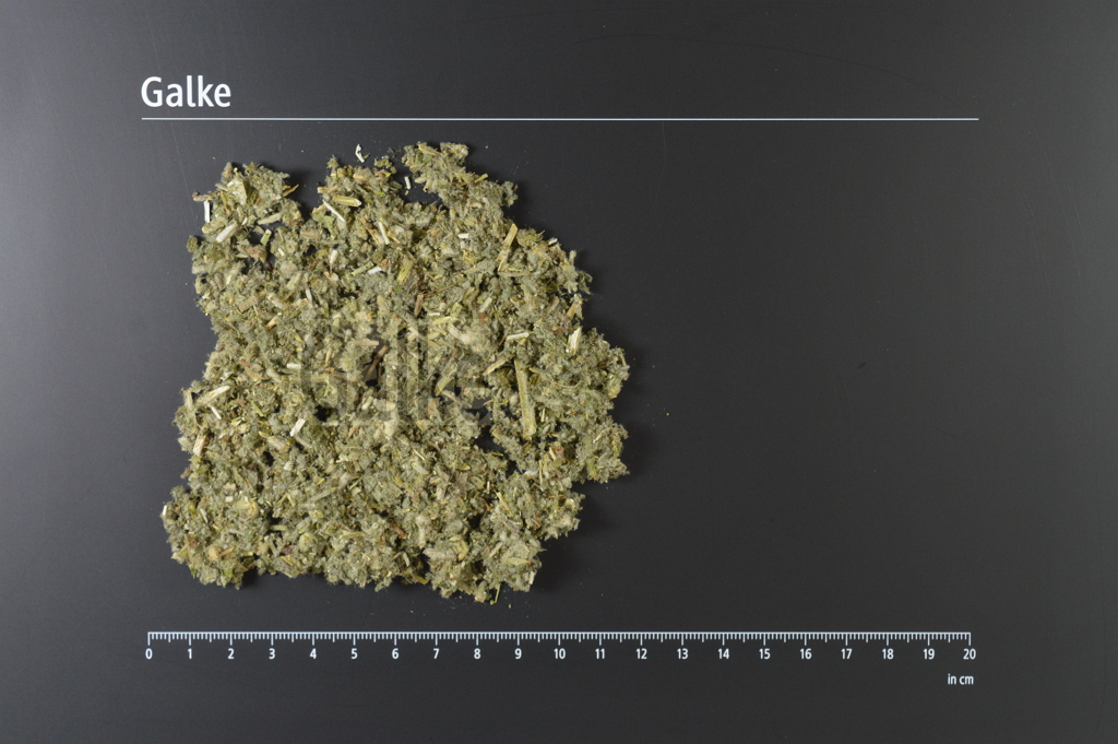 Andornkraut weiß BIO geschnitten