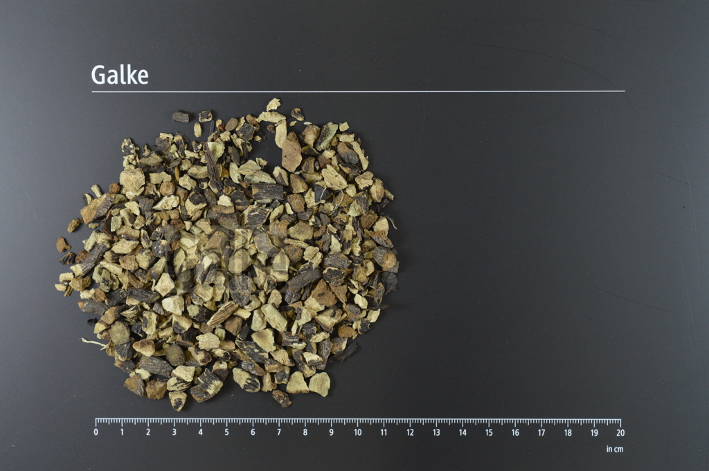 Beinwellwurzel geschnitten