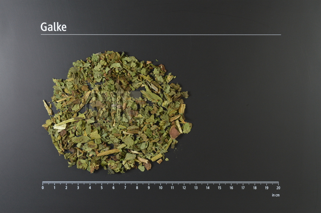 Beinwellblätter BIO geschnitten