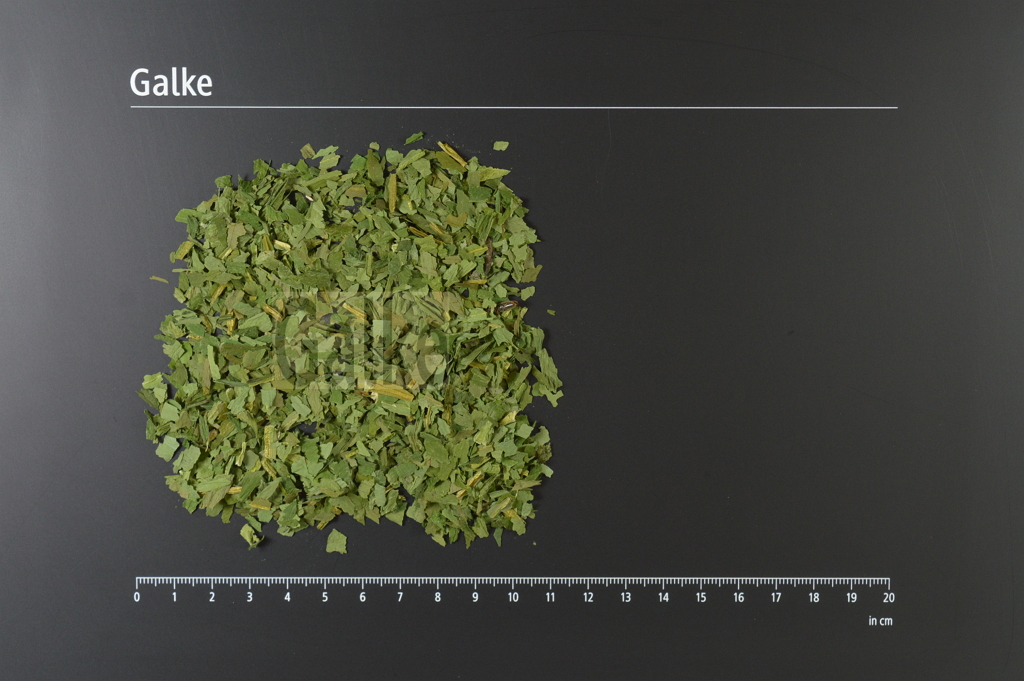 Bärlauchkraut BIO geschnitten